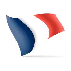 France Collector Flag