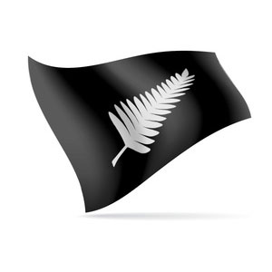 New Zealand Fern Large Flag