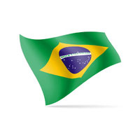 Brazil Large Handwaver Flag