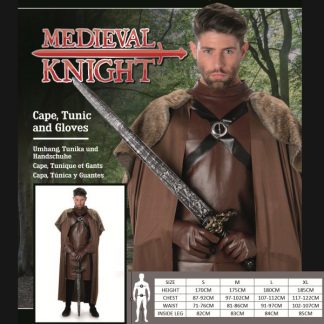 Medieval KNight