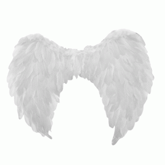 White Kids Angel Wings