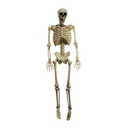 Hanging Skeleton