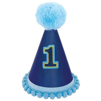 1st Birthday Boy Hat