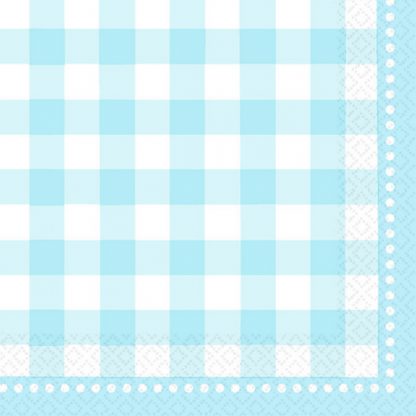 Gingham Baby Blue Lunch