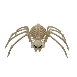 Skeleton Wolf Spider