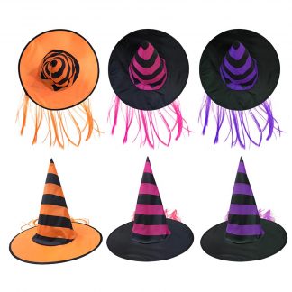 Witch Hat With Wig