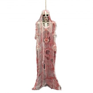Hanging Skeleton & Bloody Cloth