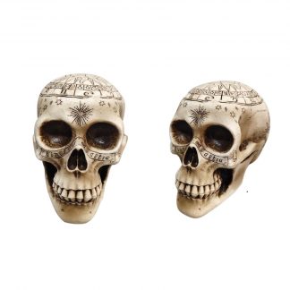 Ornate Carved Skull